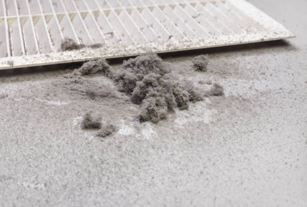 Best Emergency Air Duct Cleaning  in Inverness Highlands South, FL