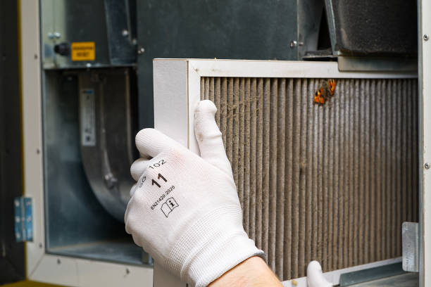 Best Ductwork Cleaning Services  in Inverness Highlands South, FL